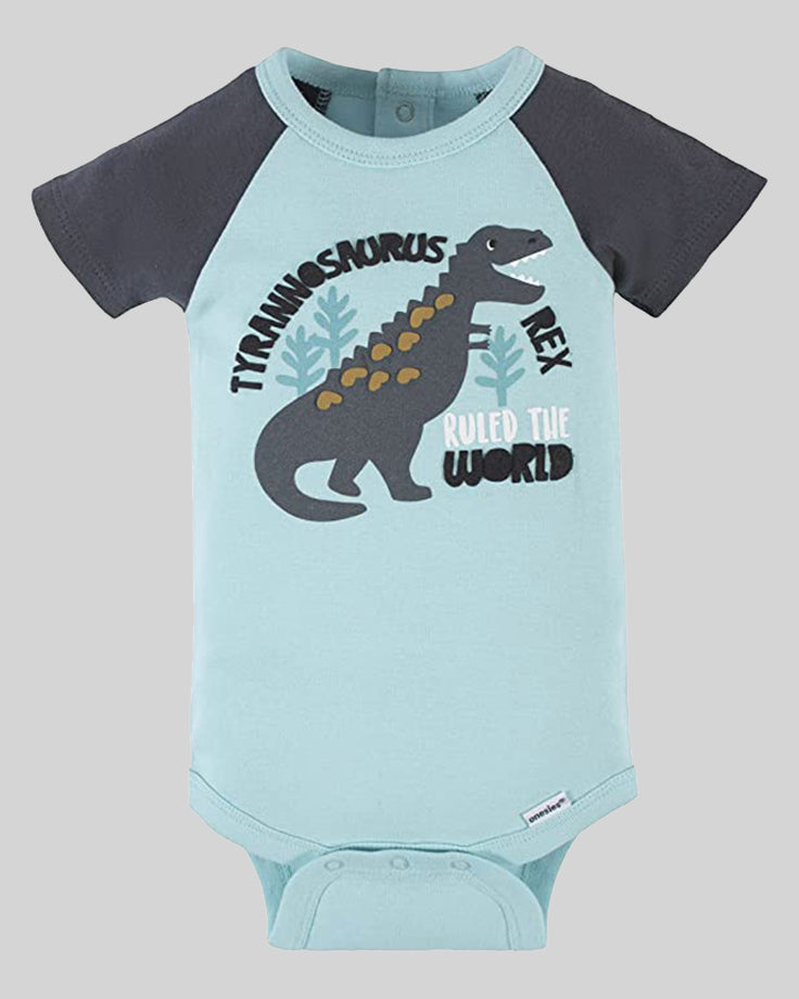 3-6 Months baby Boy